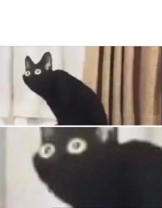 Oh No Black Cat Meme Preview Image