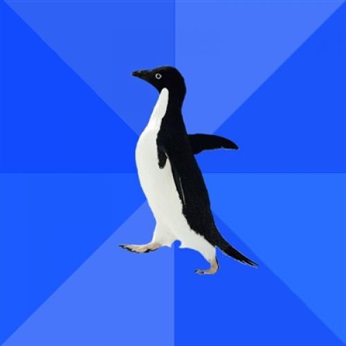 Socially Awkward Penguin Meme Preview Image
