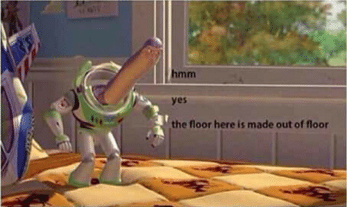 hmm yes the floor here is made out of floor Meme Preview Image