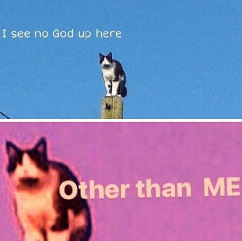 Hail pole cat Meme Preview Image