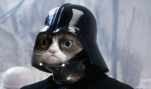 Grumpy Cat Star Wars Meme Preview Image