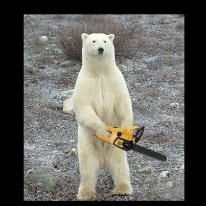 Chainsaw Bear Meme Preview Image