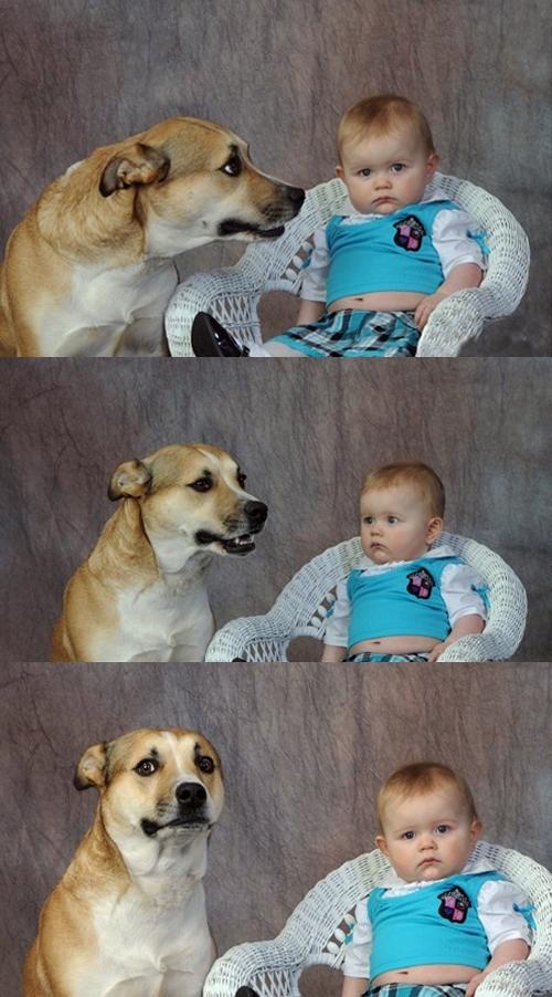 Dad Joke Dog Meme Preview Image