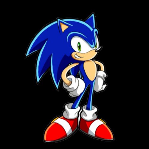You're Too Slow Sonic Meme Preview Image