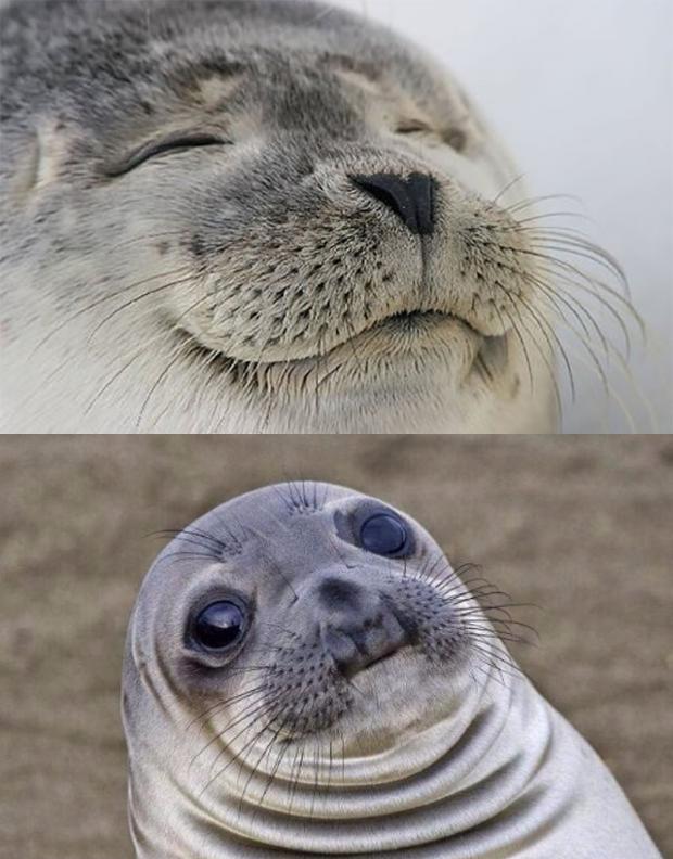 Short Satisfaction VS Truth Meme Preview Image