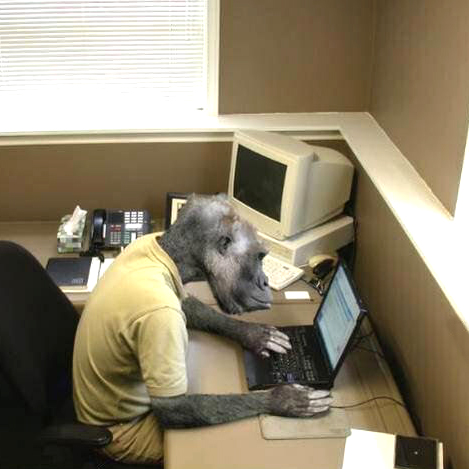 Monkey Business Meme Preview Image