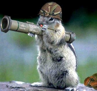 Bazooka Squirrel Meme Preview Image
