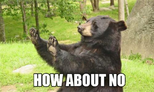 How About No Bear Meme Preview Image