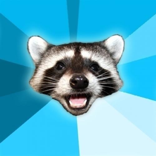 Lame Pun Coon Meme Preview Image