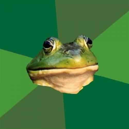 Foul Bachelor Frog Meme Preview Image