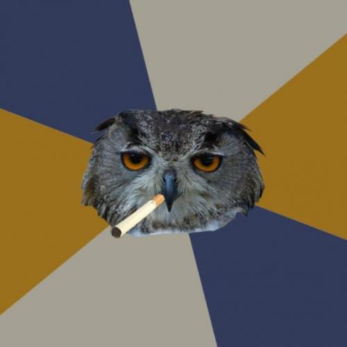 Art Student Owl Meme Preview Image