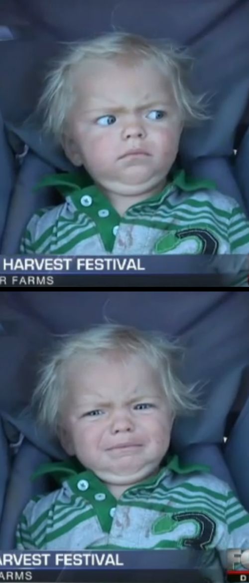 Baby Cry Meme Preview Image