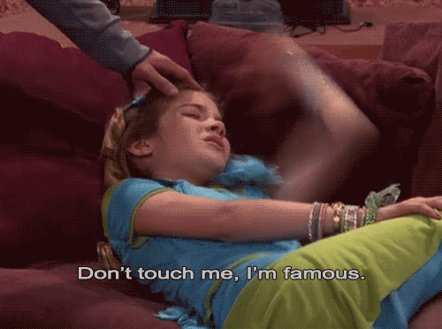 Don't Touch me I'm famous  Meme Preview Image