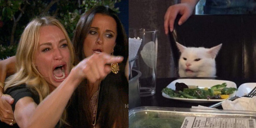 Woman yelling at cat  Meme Preview Image
