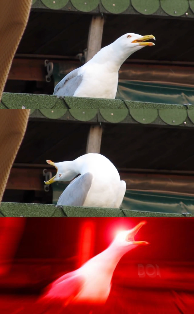 Inhaling seagull  Meme Preview Image