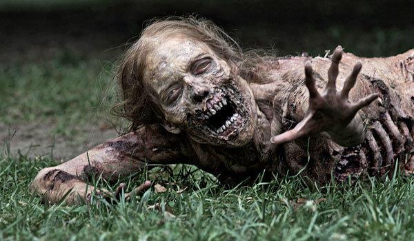 Walking Dead Zombie  Meme Preview Image