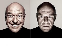 breaking bad smile frown Meme Template