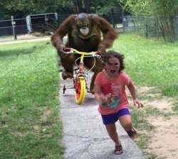 Run! Meme Template