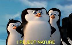i reject nature  Meme Template