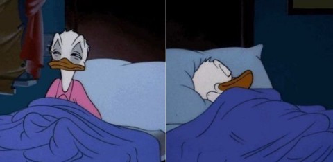 Sleeping Donald Duck  Meme Template