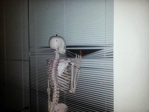 Skeleton Looking Out Window  Meme Template