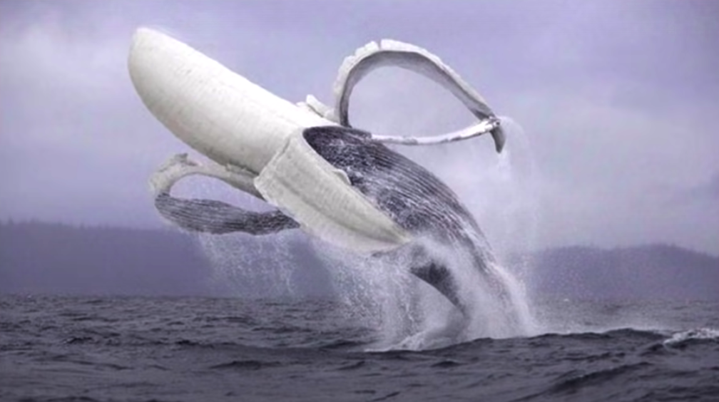 banana whale  Meme Template