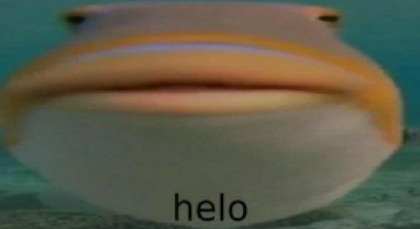 helo  Meme Template