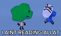 i aint reading allat Meme Template