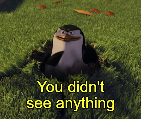 You didn't see anything  Meme Template