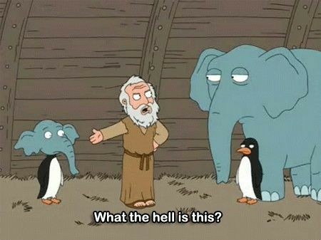 Elephant Penguin Meme  Meme Template