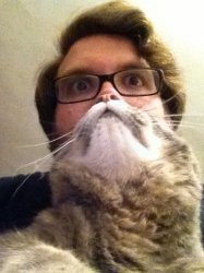 Surprised CatMan Meme Template