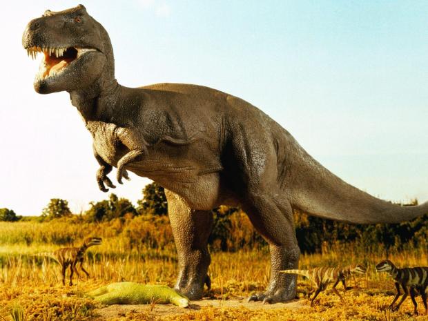 T-Rex  Meme Template