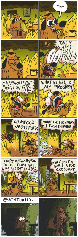 This is not fine  Meme Template
