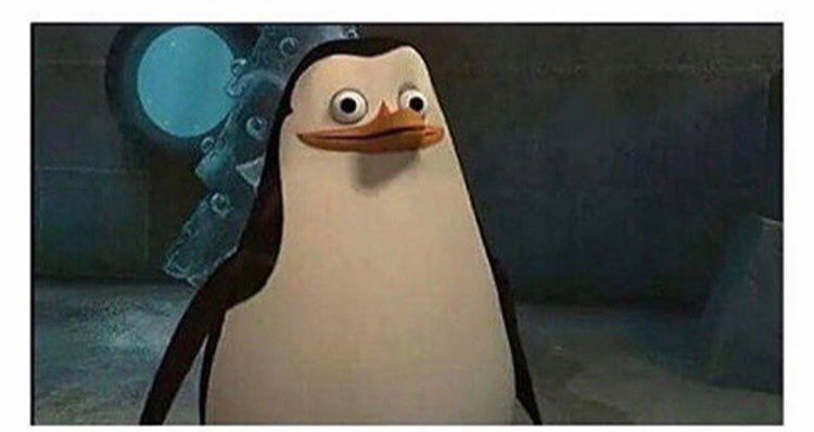 Stupid pinguin  Meme Template