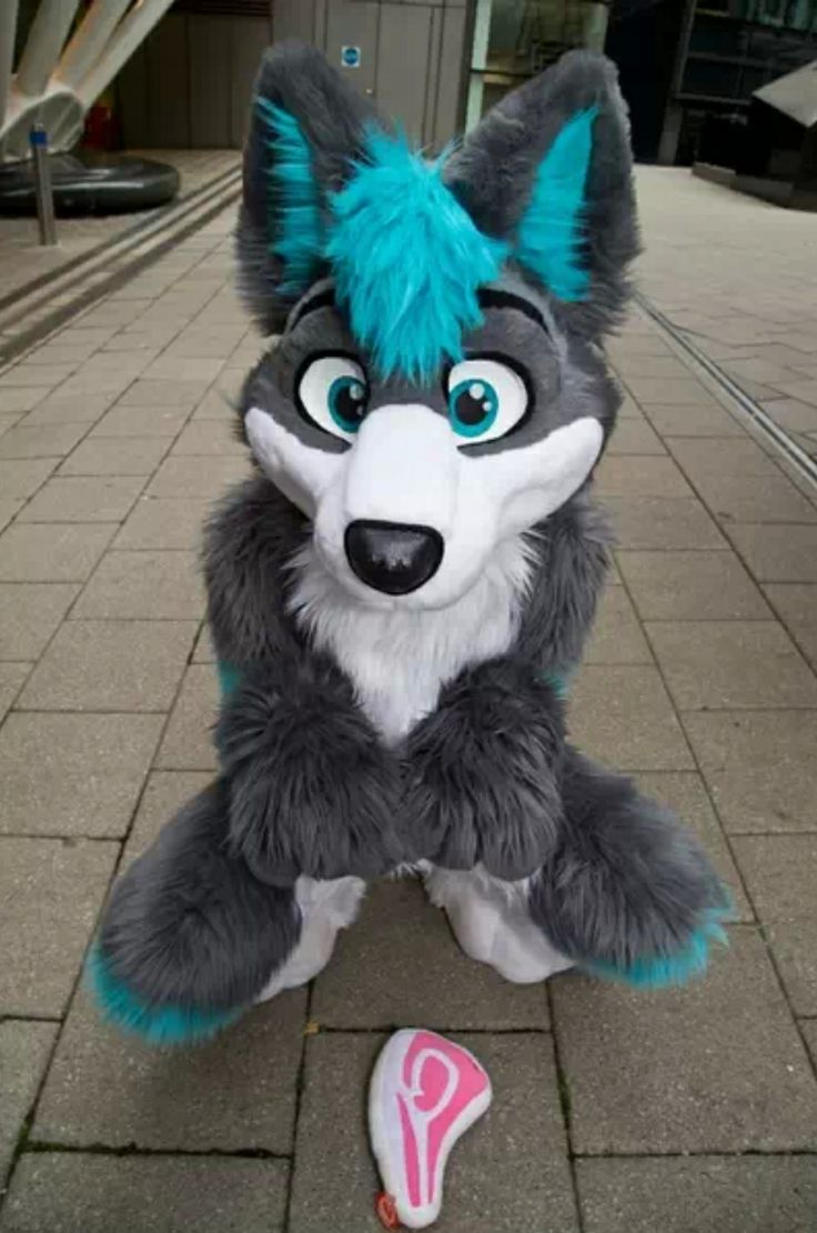 Furry  Meme Template