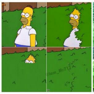 Homer hides  Meme Template