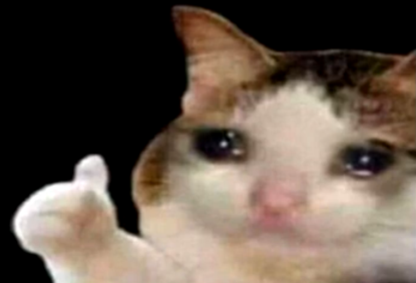 Sad cat thumbs up  Meme Template