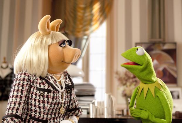 Kermit & Ms. Piggy  Meme Template