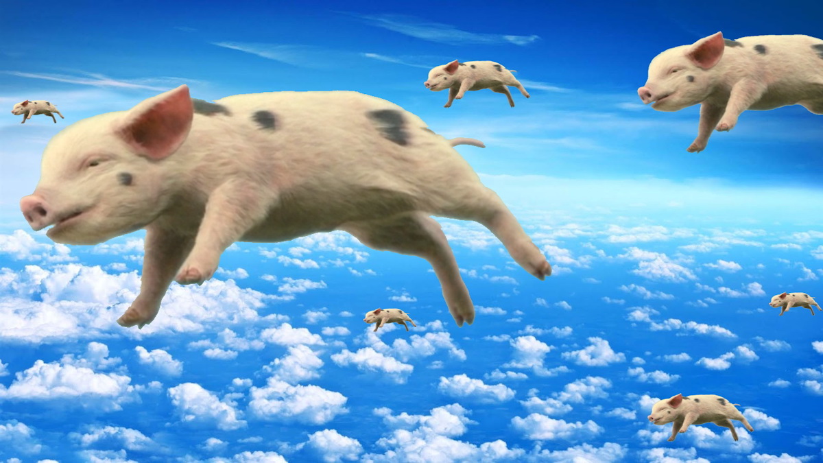When Pigs Fly  Meme Template