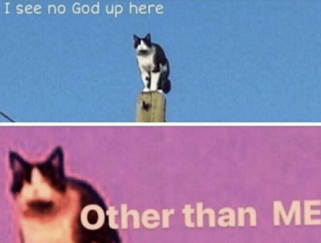 I see no god up here other than me  Meme Template