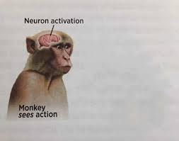 Neuron activation  Meme Template