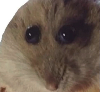Hampter  Meme Template