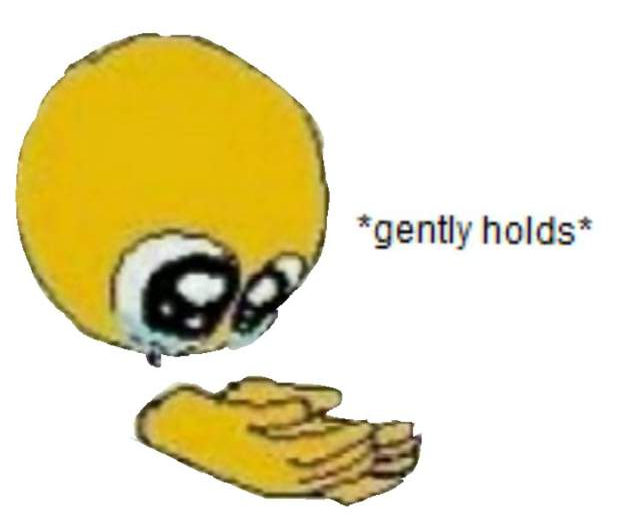 holds gently  Meme Template