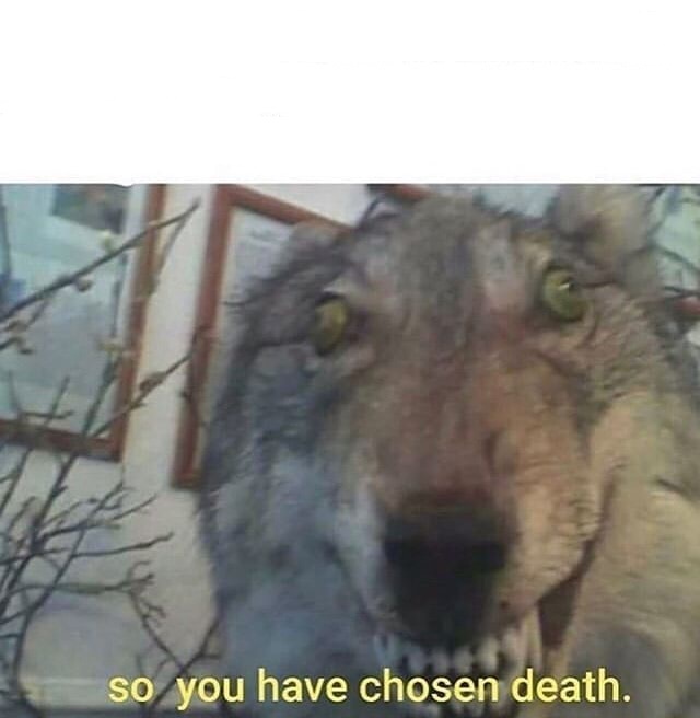 so you have chosen death  Meme Template