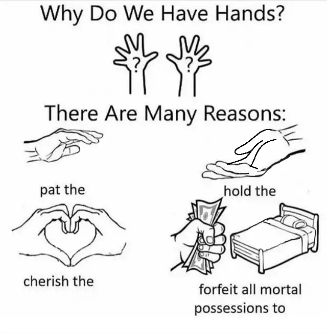 Why do we have hands? (all blank)  Meme Template