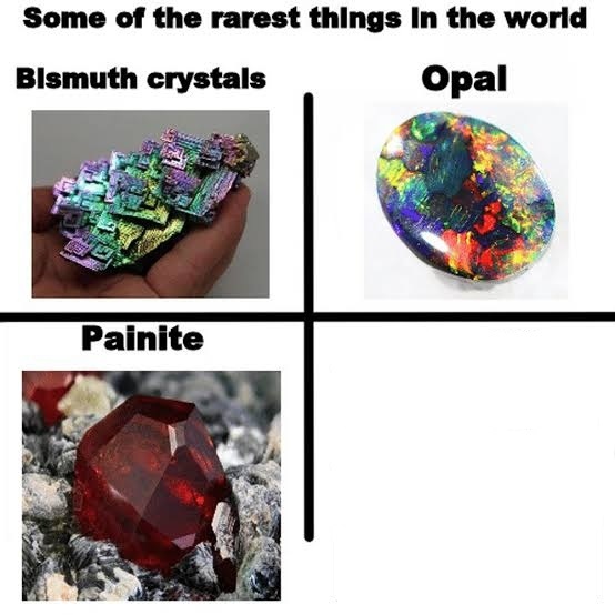 Some of the rarest things in the world  Meme Template