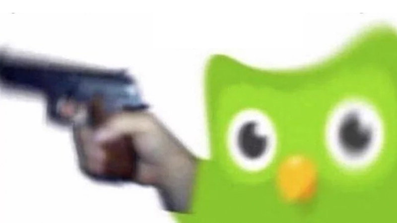 duolingo gun  Meme Template