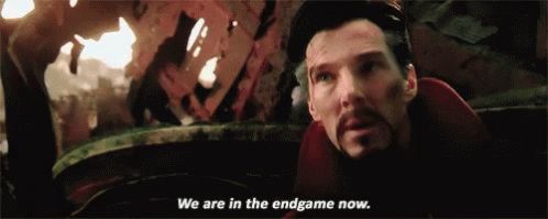 We're in the endgame now  Meme Template