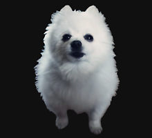 Gabe the dog  Meme Template
