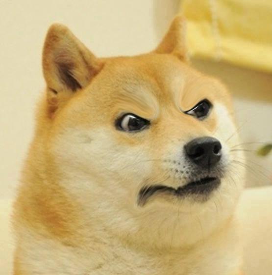 Confused Angery Doge  Meme Template